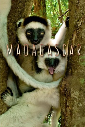 Мадаґаскар / Мадагаскар
