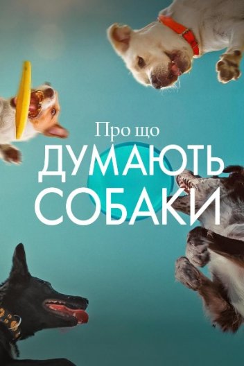 Про що думають собаки