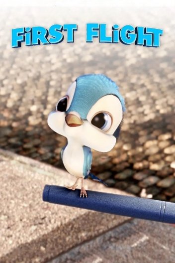 Перший політ