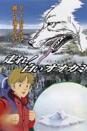 Тікай, білий вовче!