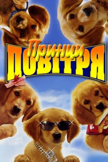 Принци повітря