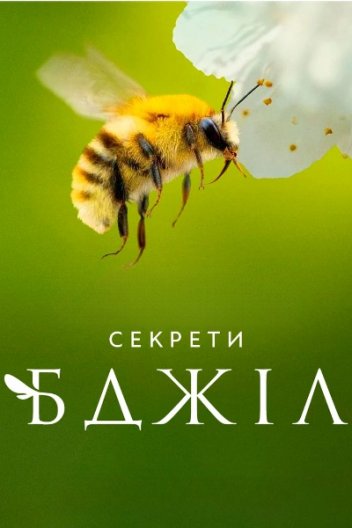 Секрети бджіл